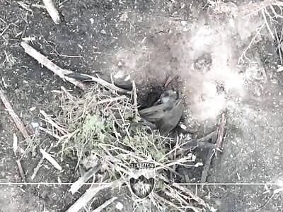 Drone kills Russians in the forest