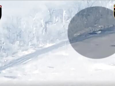 Group of invaders targeted by artillery