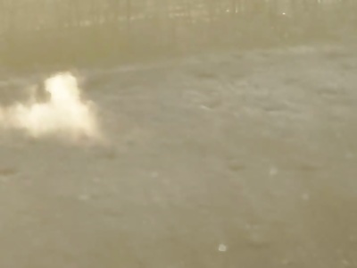 Robot delivers mines to Russian positions