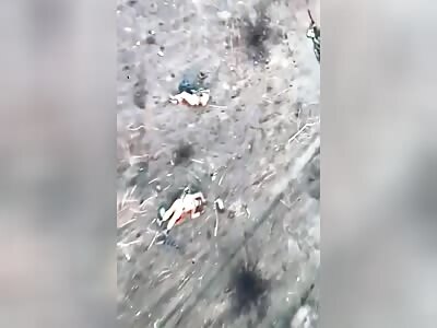 Avdiivka littered with Russian corpses