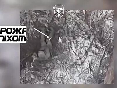 Ukrainian drones delivering some pain