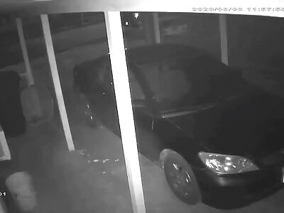 Ghost with face flew