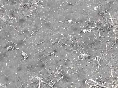 Large number of dead Russians