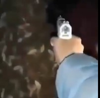 Shooting a Rival in the Head