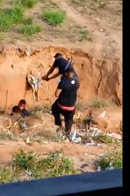  Rival Chased & Gunned Down In Haiti (Action & Aftermath) 