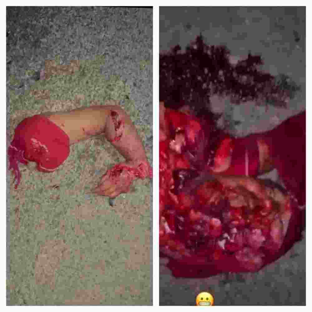 Another mass of meat on the road