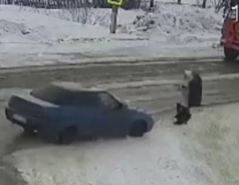 drunk driver at high speed killed old couple at a crossing