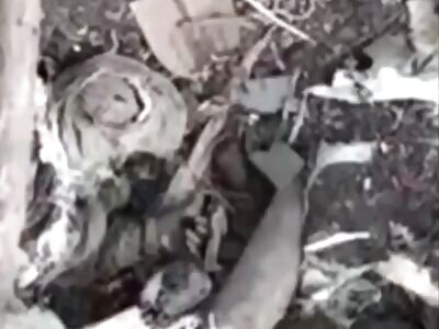 Another Russian head shattered into pieces