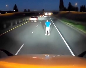 Highway Suicide or Stupidity? 