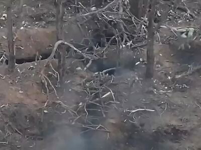 Russian failed assault Vol. ........