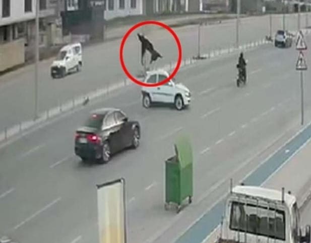 Turkish Man Won't Be Making It Home For Dinner