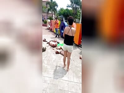 Another video of the dismembered bodies abandoned in Cazones de Herrer