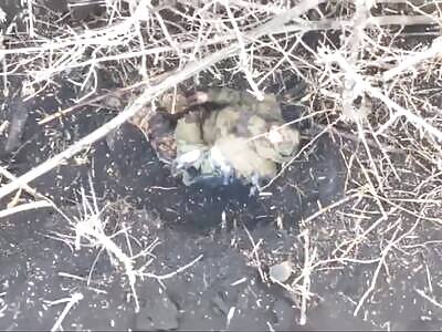 Drones see every Russian invader