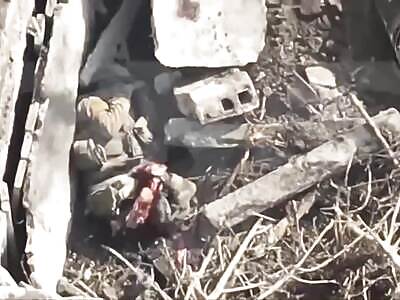 Elite Russian special forces torn to pieces