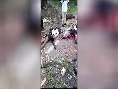 A tree fell on top of the boys when they were riding a motorcycle, 2 d