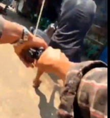 Monk Accused of Collaborating with the Military Junta is Murdered