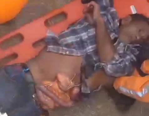 [GUTS OUT] OLD MAN CRASHED BY TRACTOR 