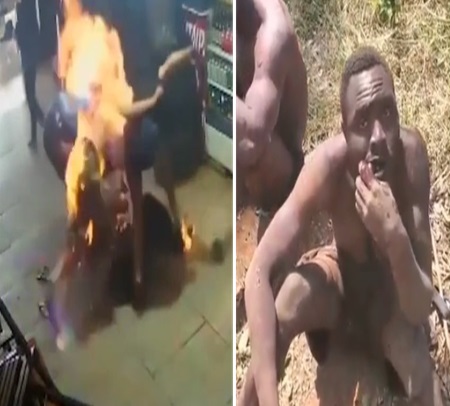 This Is YOUR Daily Dose of Shock &  Gore #1 [Compilation] 