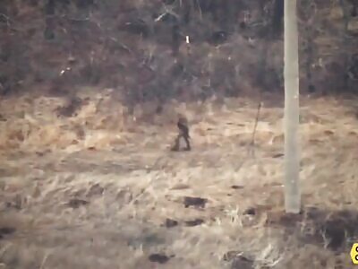 Russian invader is hunted by drone