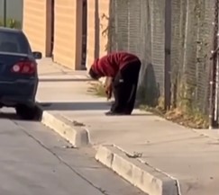 WTF: Hungry Homeless Cannibal Eats Severed Leg.