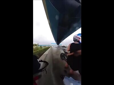 This Is YOUR Daily Dose of Shock & Gore #2 [Compilation]