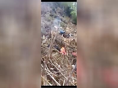 Mexican politician dies in plane crash 