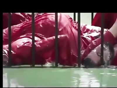 Things to Die by on YNC! [COMPILATION]