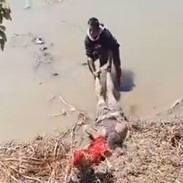 Myanmar Massacres Continue