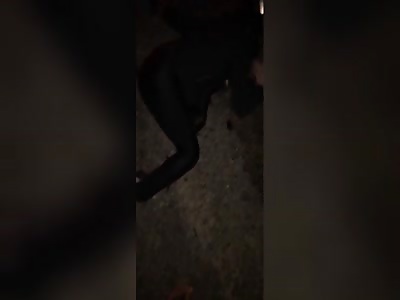 Family dies in accident