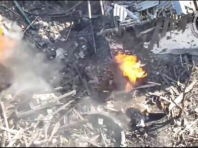 Ukraine Death Comp LI