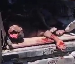 Gang members killed by police in Haiti 