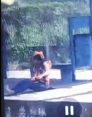 Woman Set on Fire at Rio de Janeiro Train Station