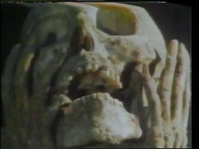 Traces of Death Classic.