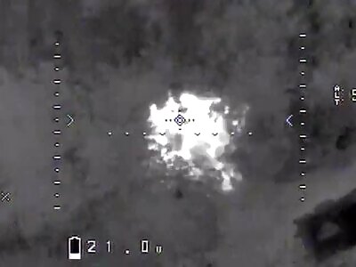 The Magyar Birds in action 