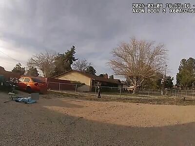 San Bernardino County deputies shoot autistic teen