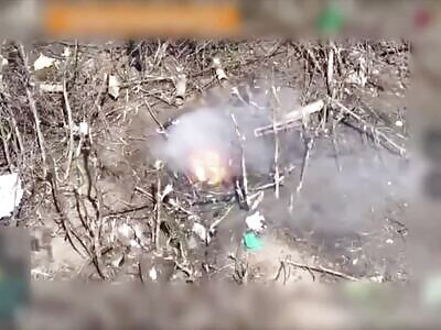 russian rats (RR) are hiding on Ukrainian land,  