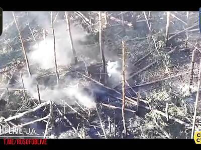 Orc with Dread in His Eyes Plays Dead—In Vain