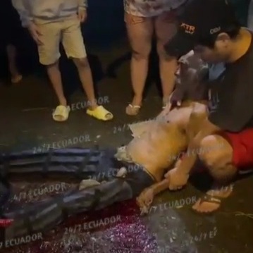 Old man victime of car crash 