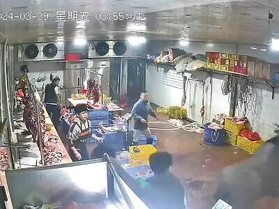 Ox Refuses Become Beef Chop Suey—Delivers Justice