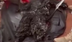 Famous Nigerian car dealer calcinated after deadly accident 