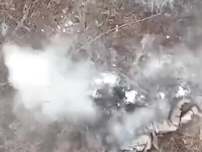 The dead possum tactic didn't work