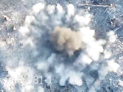 Mass elimination of Russians