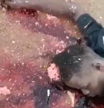 [BRAIN ON THE ASPHALT]VIKINGS MEMBER BUTCHERED BY THE BLACK AXE GANG 