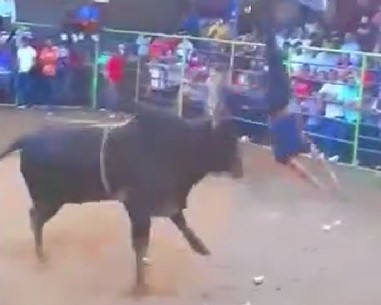 The Beast from Nicaragua Destroying idiots