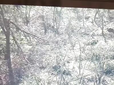 counting dead Russians