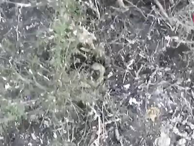 ruzzian with stick vs FPV