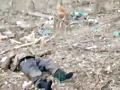 Russia advances forward 