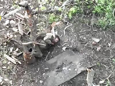 Drone Feast—Russian Panics, Body Paralyzed, Can't Escape!