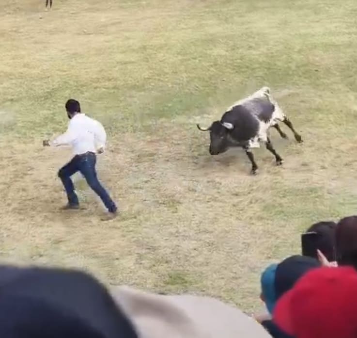 Still Want To Be In The Ring?