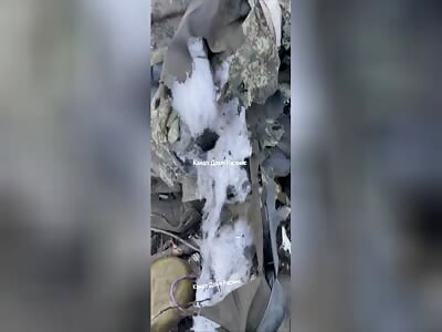 The situation in the Russian army is stable